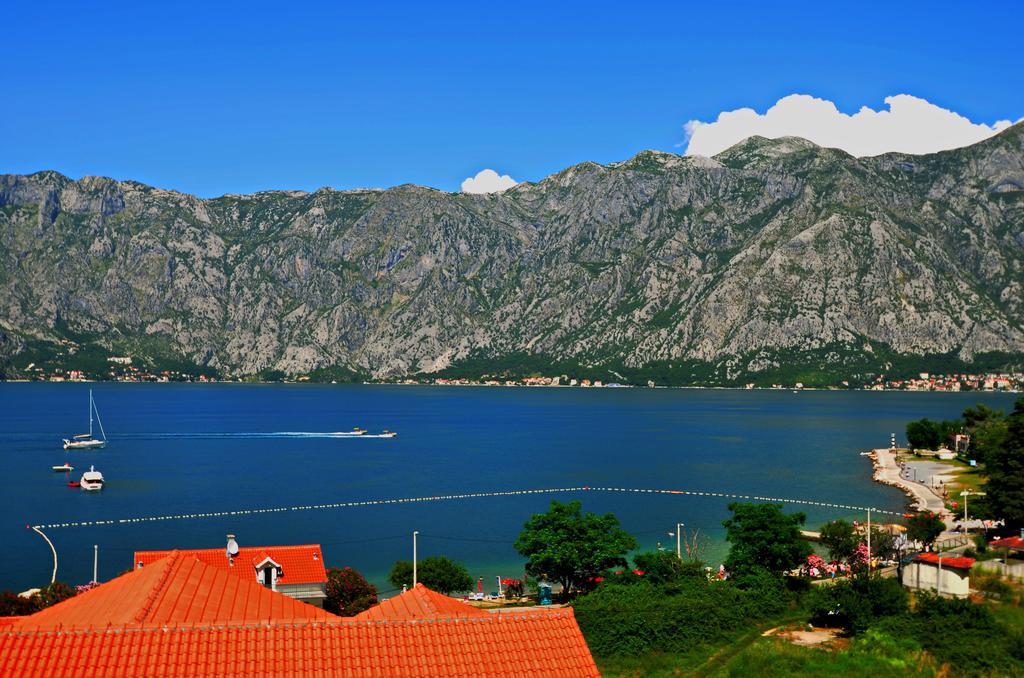 Apartments Scorpio Kotor Zimmer foto